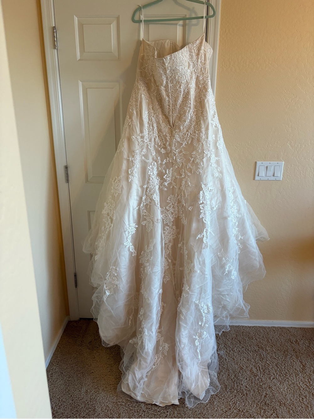 David's Bridal Ivory/Champagne Bridal Gown - Picture 3 of 11